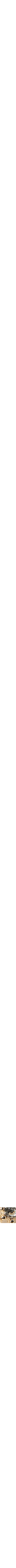 Assorti