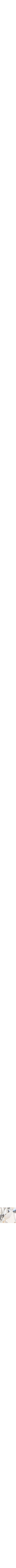Assorti