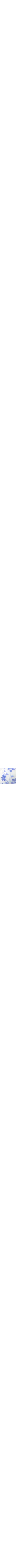 Patterned Blue