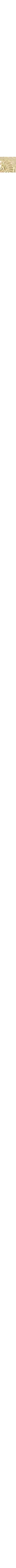 Assorted white 