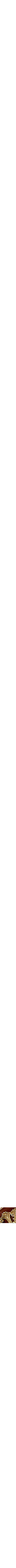 Assorti