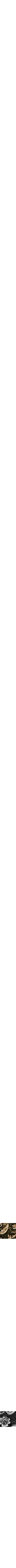 Assorti