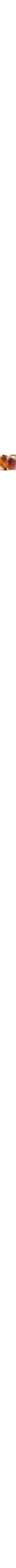 Brun à motifs