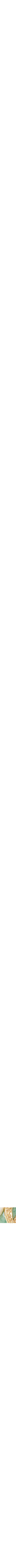 Assorti
