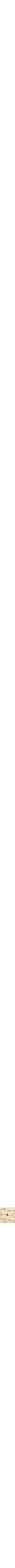 Assorti