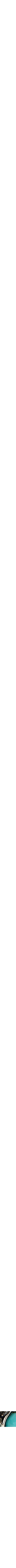 Assorti