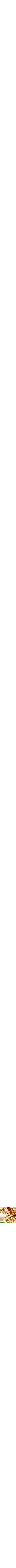 Assorti