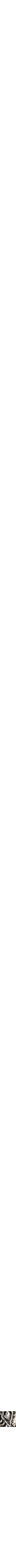 Assorti