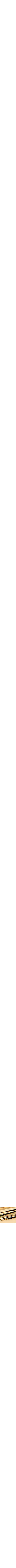 Assorti