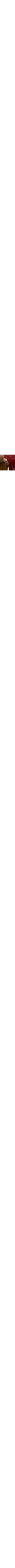 Brun à motifs