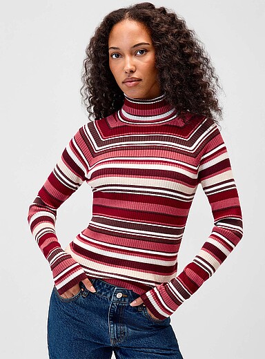 Mixed stripe turtleneck sweater