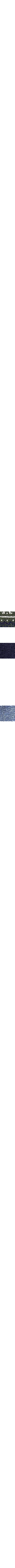 Vert à motifs