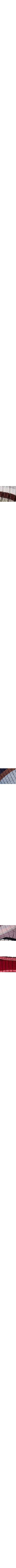 Patterned Crimson