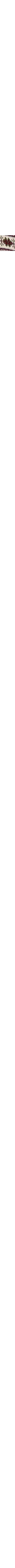 Patterned Ecru