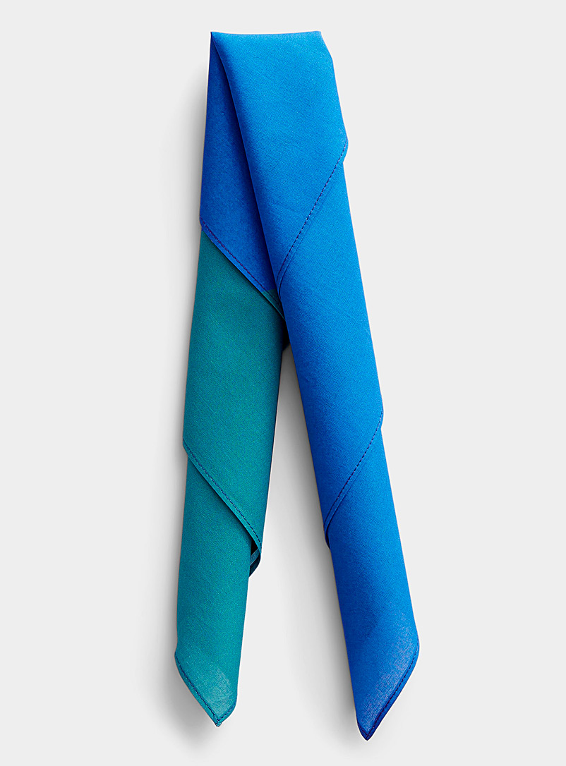 Topo Designs Patterned Blue Geo print bandana scarf for men