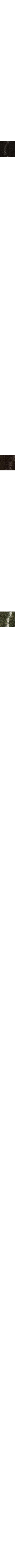 Noir à motifs