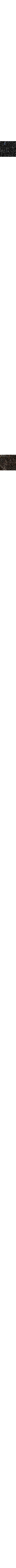 Noir à motifs