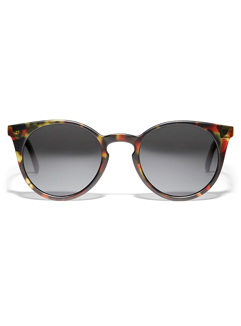 Mize Assorted brown  C04 cat-eye sunglasses for women