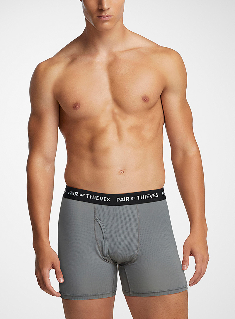Pair of Thieves Grey Micro-dotwork solid boxer brief for men