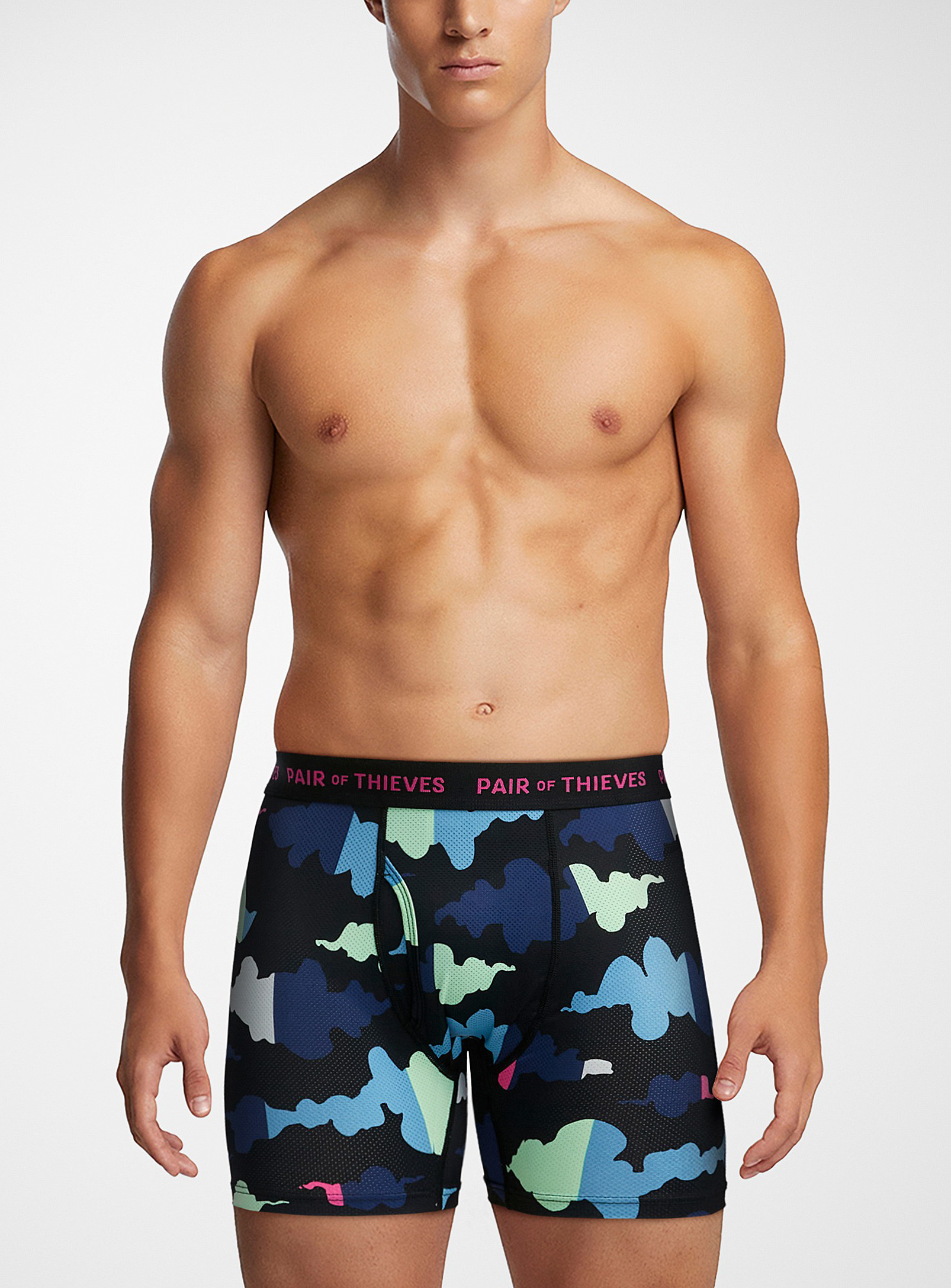 Pair Of Thieves Micro-perforated Patterned Boxer Brief In Patterned Blue