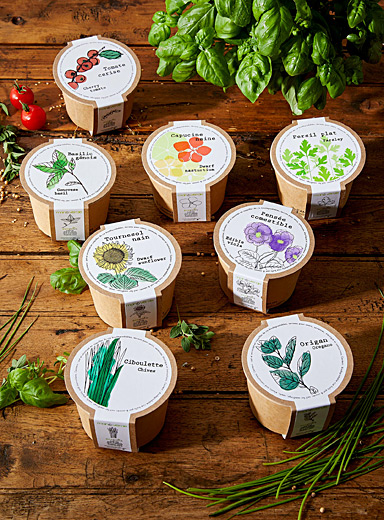 Les fleurs et fines herbes &agrave; cultiver Ensemble de 8 minipots &eacute;colos