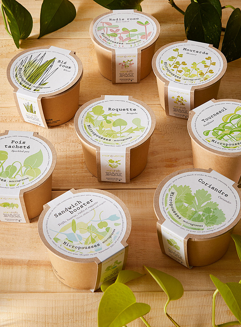 Mano verde Assorted Fragrant shoots to grow 8 eco-friendly mini pots set