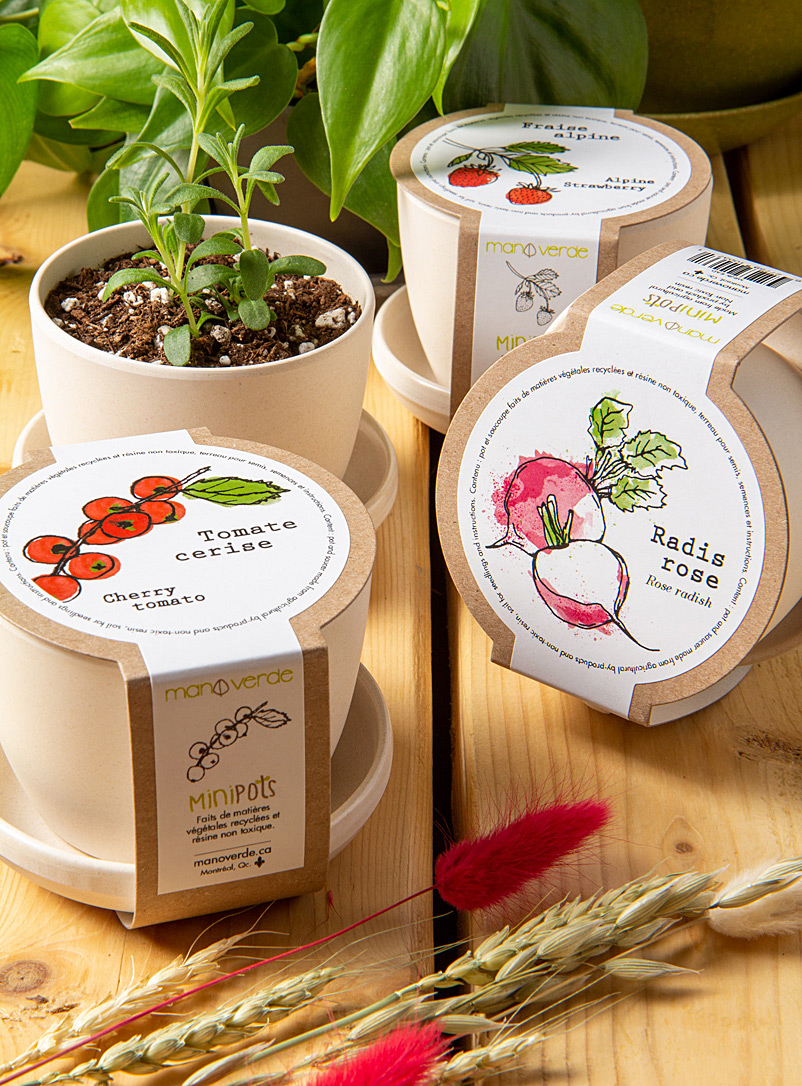 Mano verde Assorted Mini vegetables to grow 3 eco-friendly mini pots set