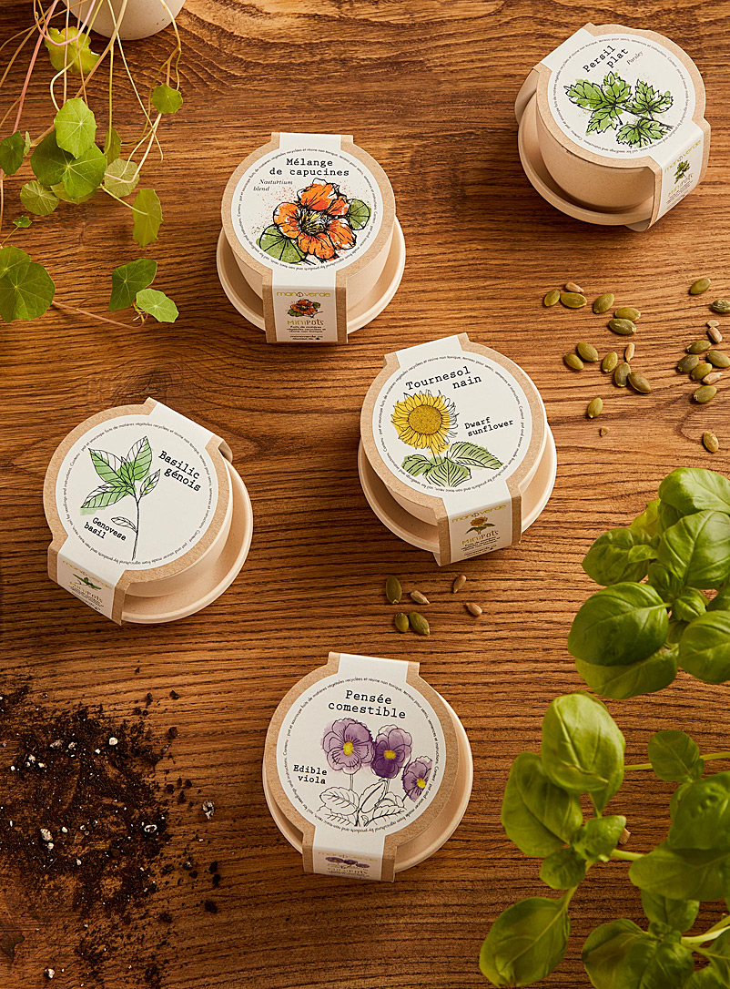Mano verde Assorted Small fragrant shoots to grow 5 eco-friendly mini pots set