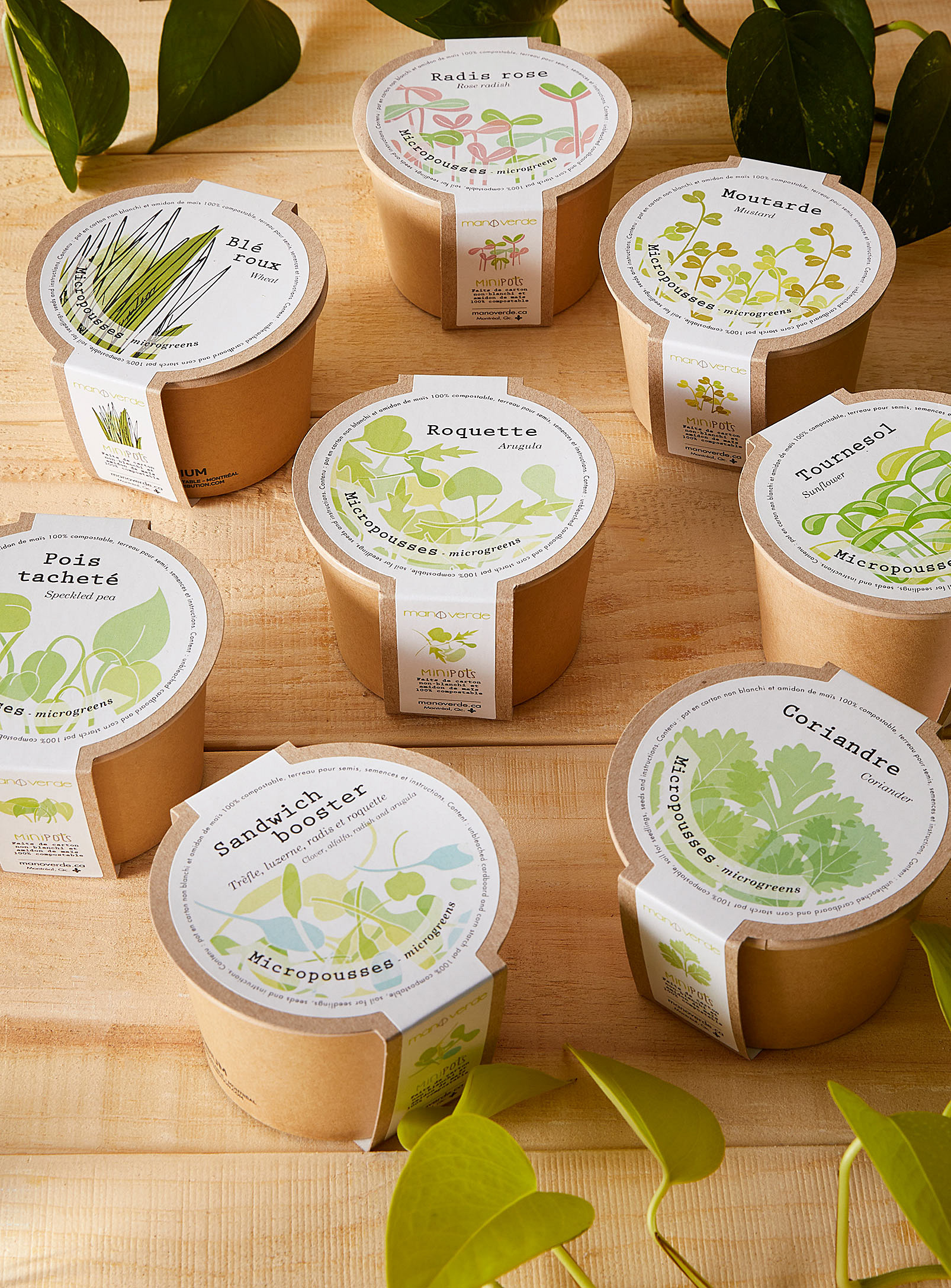 Mano verde - Fragrant shoots to grow 8 eco-friendly mini pots set