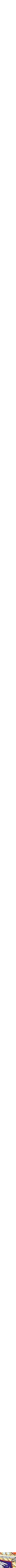 Assorti