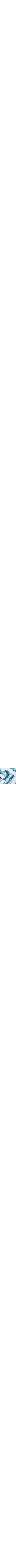 Patterned Blue