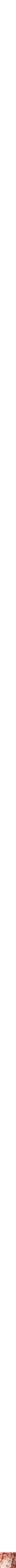 Assorti