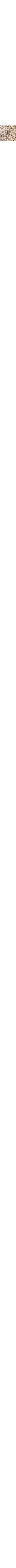 Gris à motifs