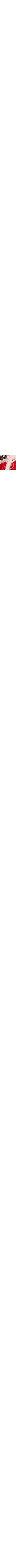 Brun à motifs