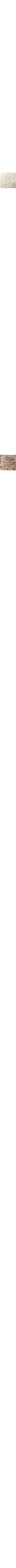 Blanc cassé