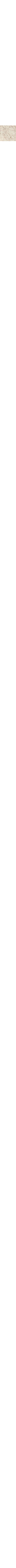 Patterned Cream