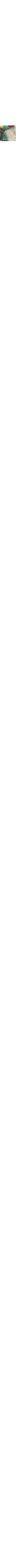 Patterned Cream
