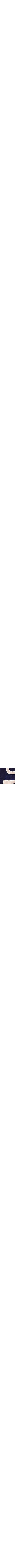 Bleu à motifs