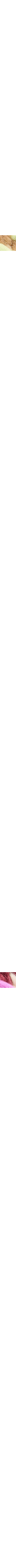Patterned Ecru