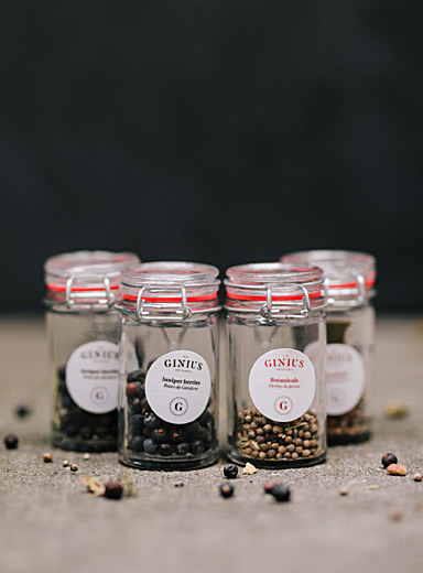 Homemade gin herbs Set of 4 jars