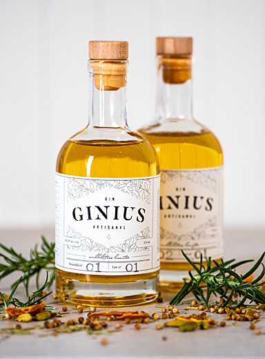 L'ensemble de fabrication de gin artisanal