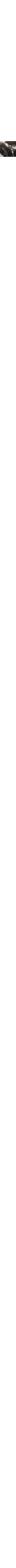 Noir à motifs