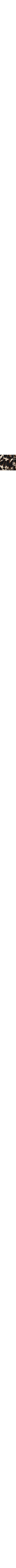 Léopard