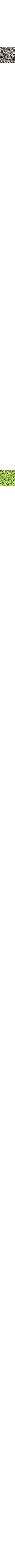 Charbon