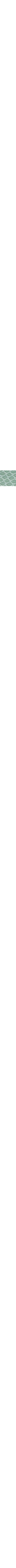 Vert à motifs