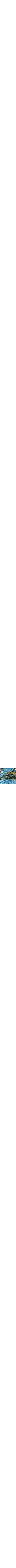 Patterned Blue