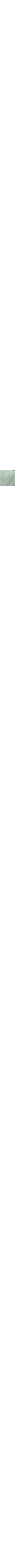 Vert à motifs