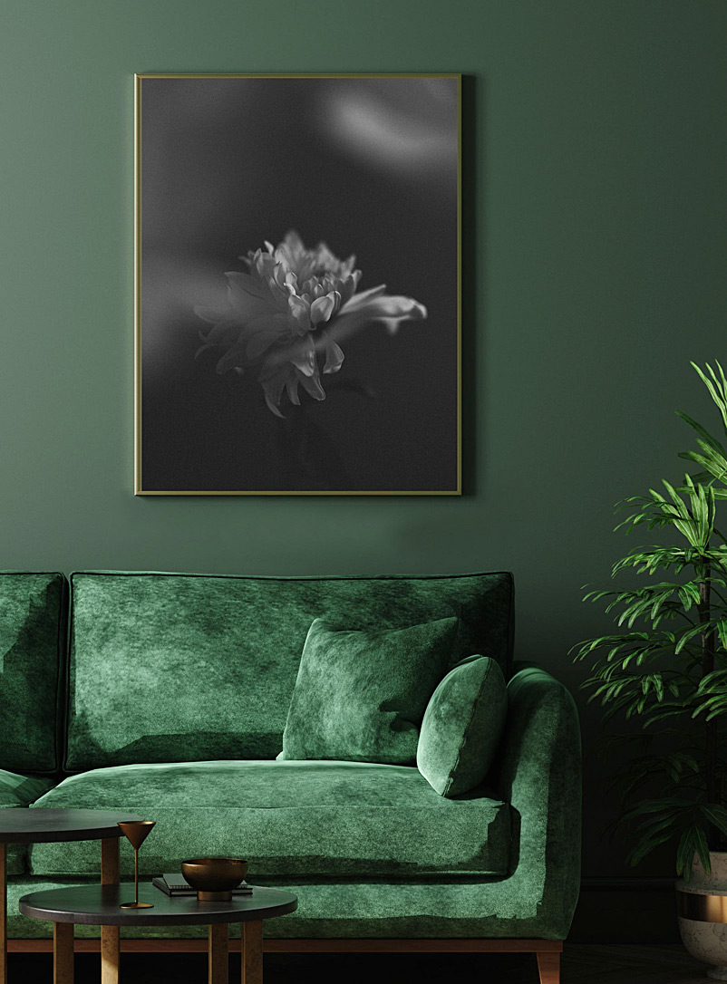 Grace et Flore: La photographie Chrysanthème pleine grandeur 2 formats offerts Blanc et noir