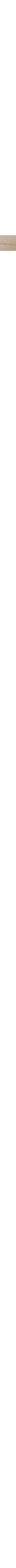 Patterned Ecru
