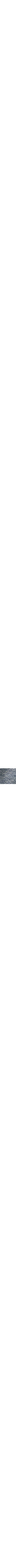 Patterned Blue